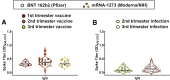 Supplemental Figure 3