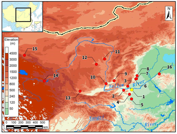 Figure 2