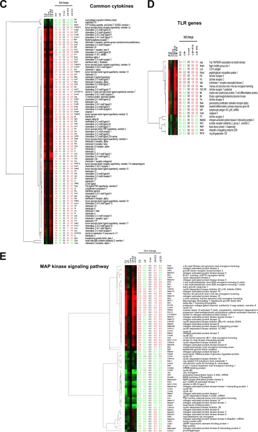 FIG. 4.