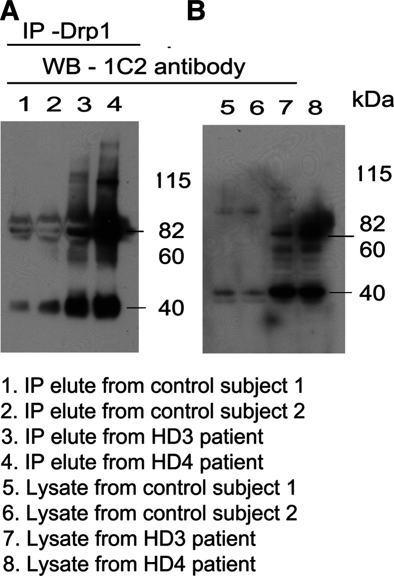 Figure 3.