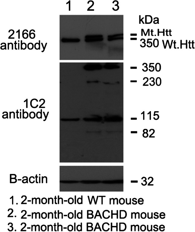 Figure 1.