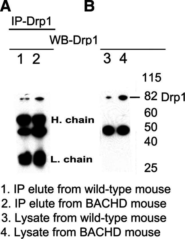 Figure 4.