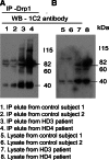 Figure 3.