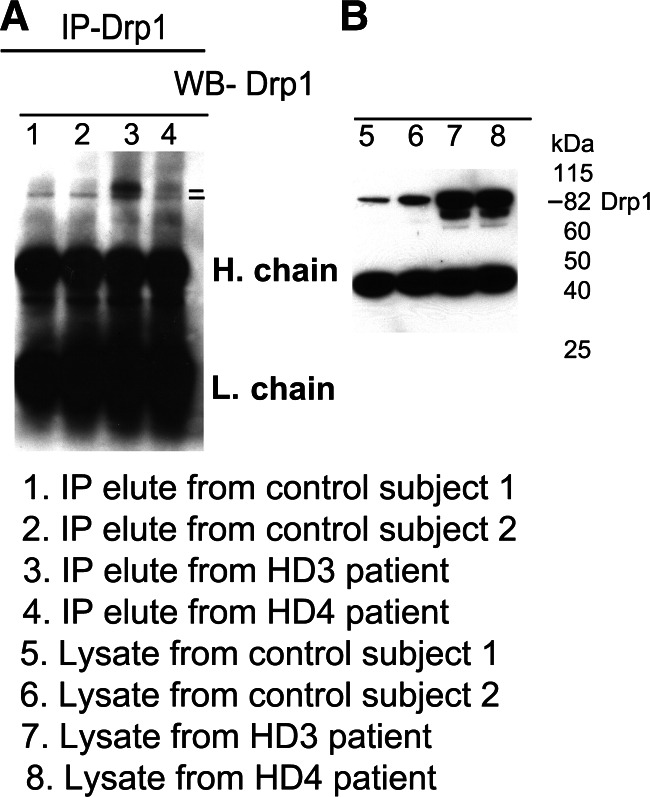 Figure 2.