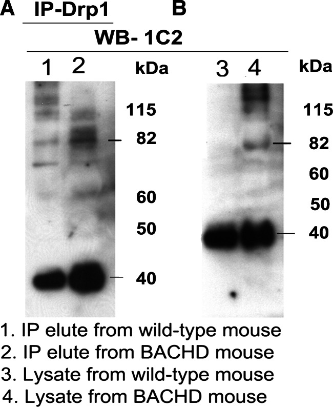 Figure 5.