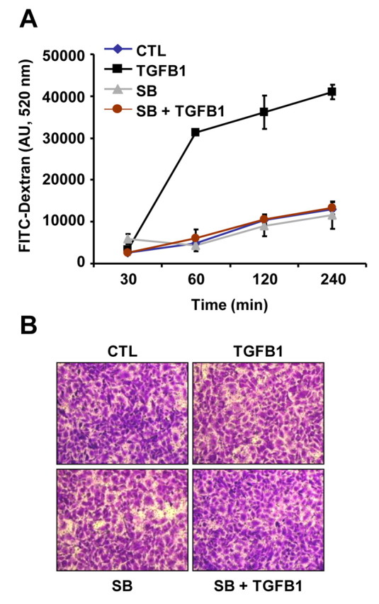 Fig. 8.