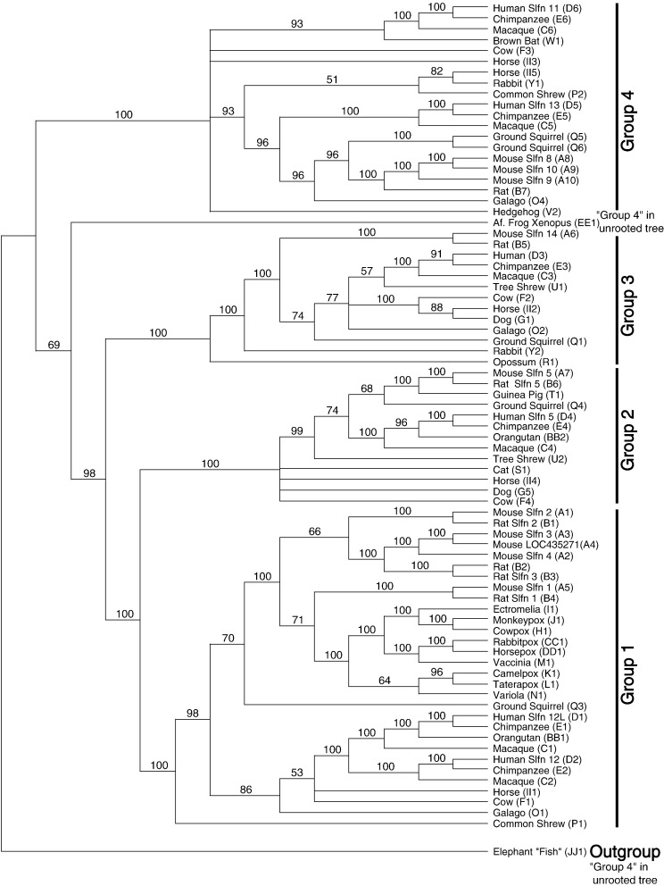 Fig. 5