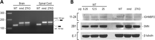 Figure 5.