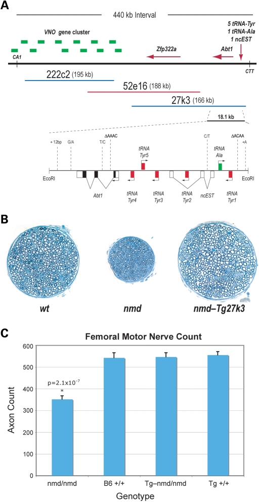 Figure 4.