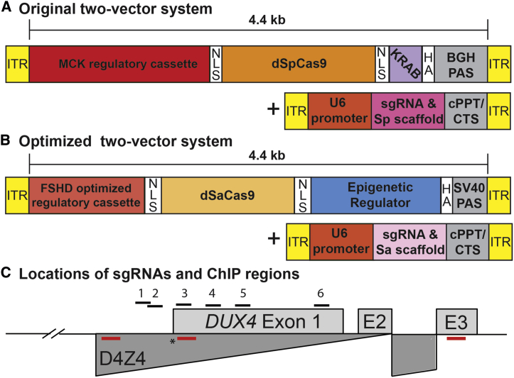 Figure 1