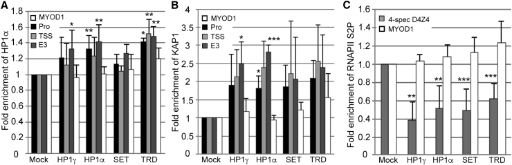 Figure 5