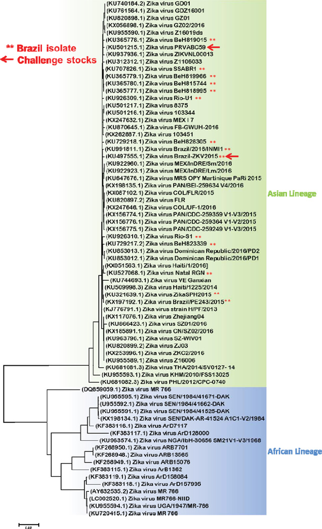 Extended Data Figure 1