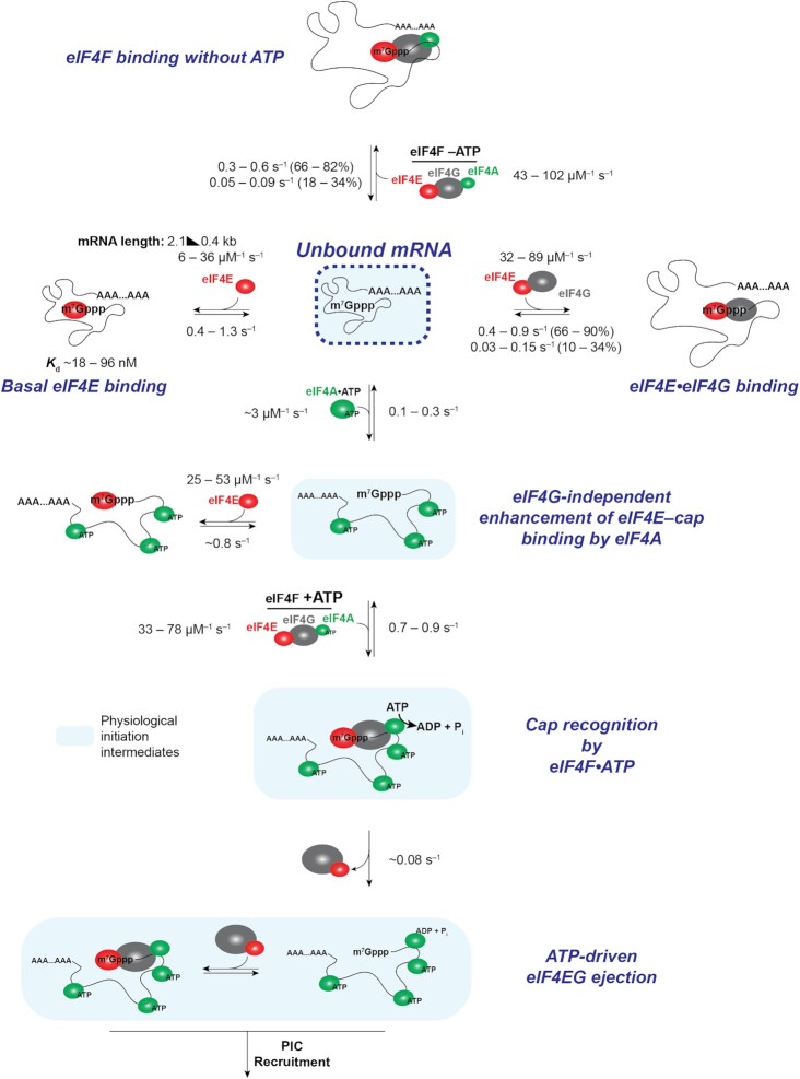 Figure 7.