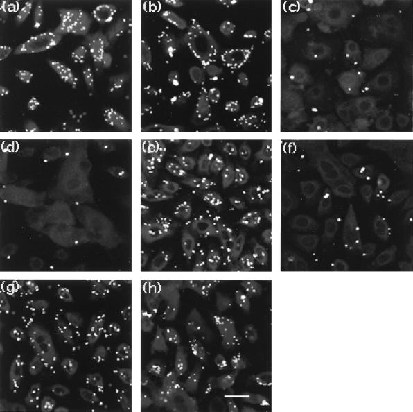 FIG. 7