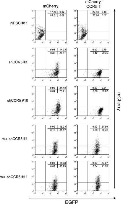 FIG. 6.