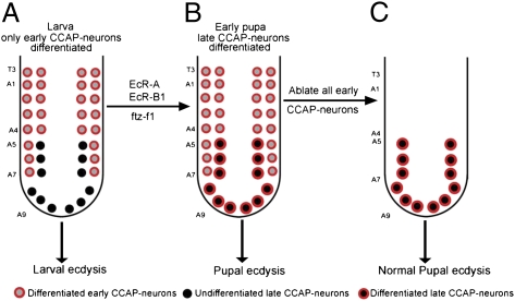 Fig. P1.