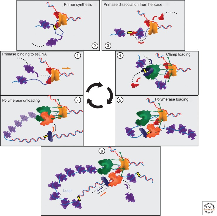 Figure 5.