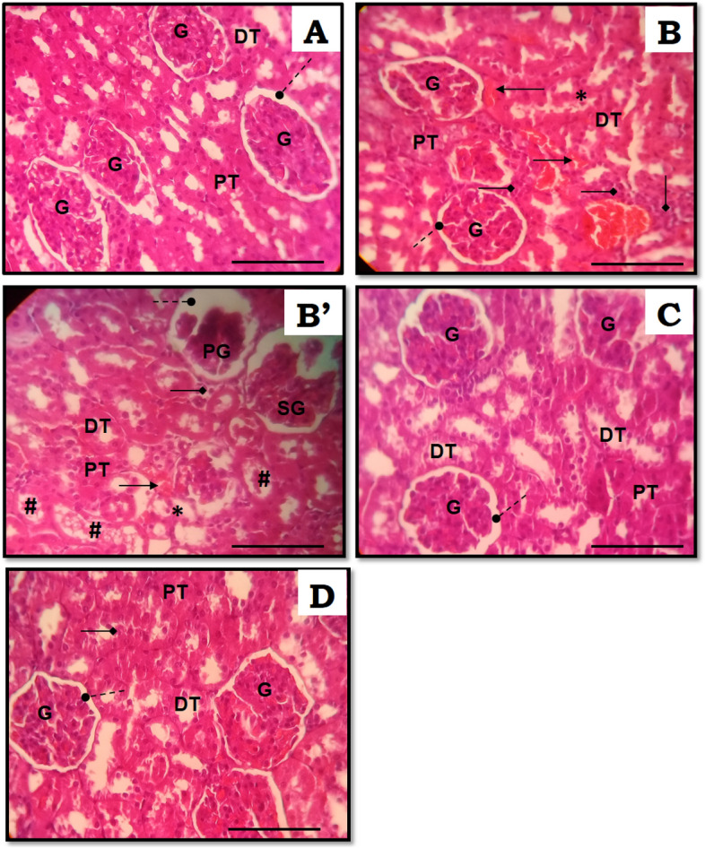 Fig. 5