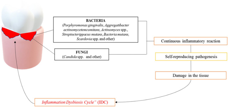 Figure 5.