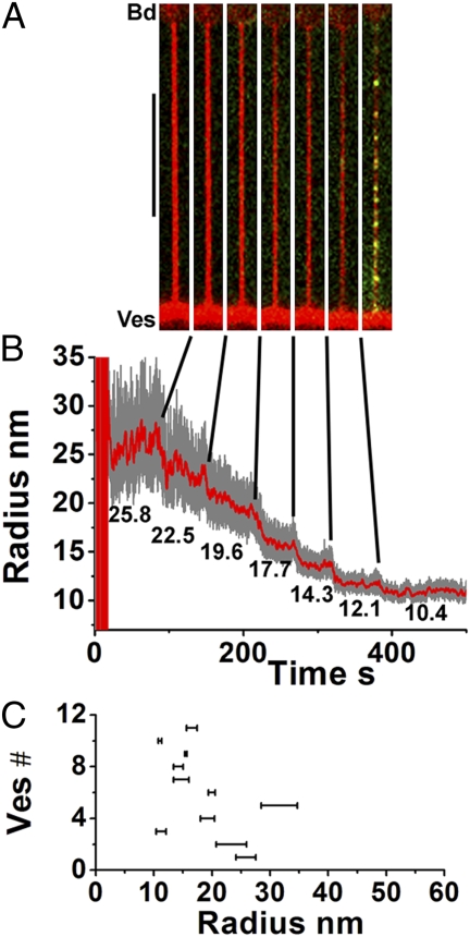 Fig. 3.