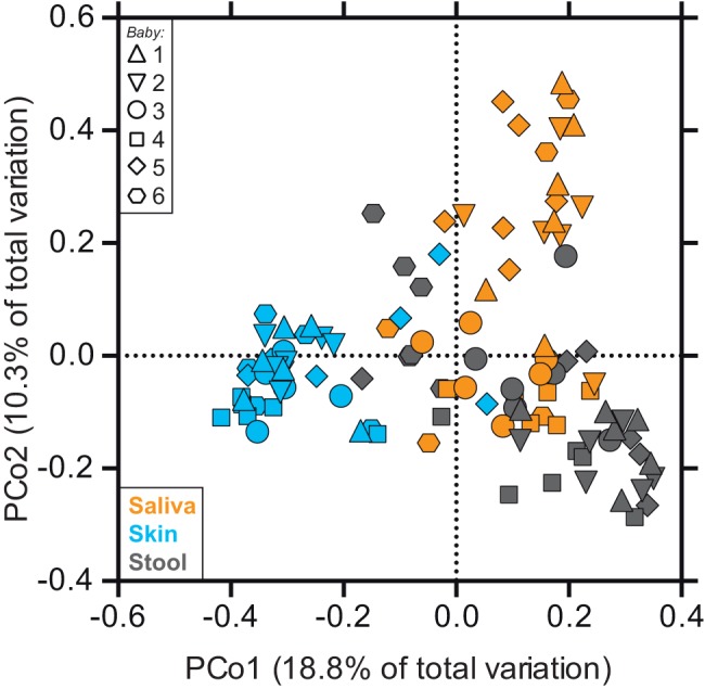 FIG  2  