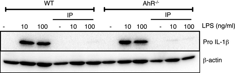 Fig. S4.