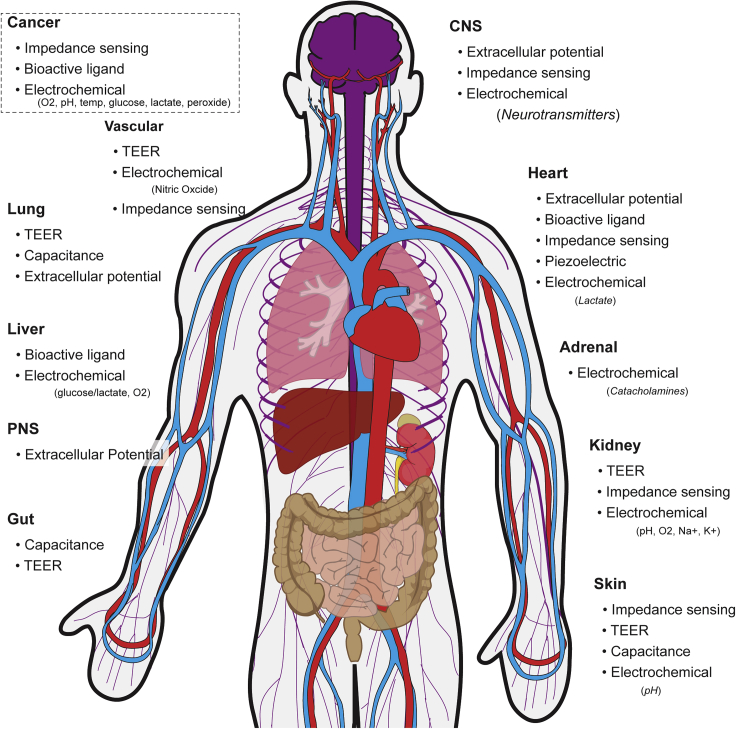 Figure 1