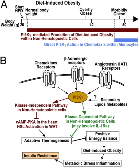 Fig. P1.