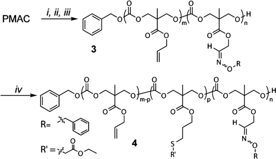 Scheme 2