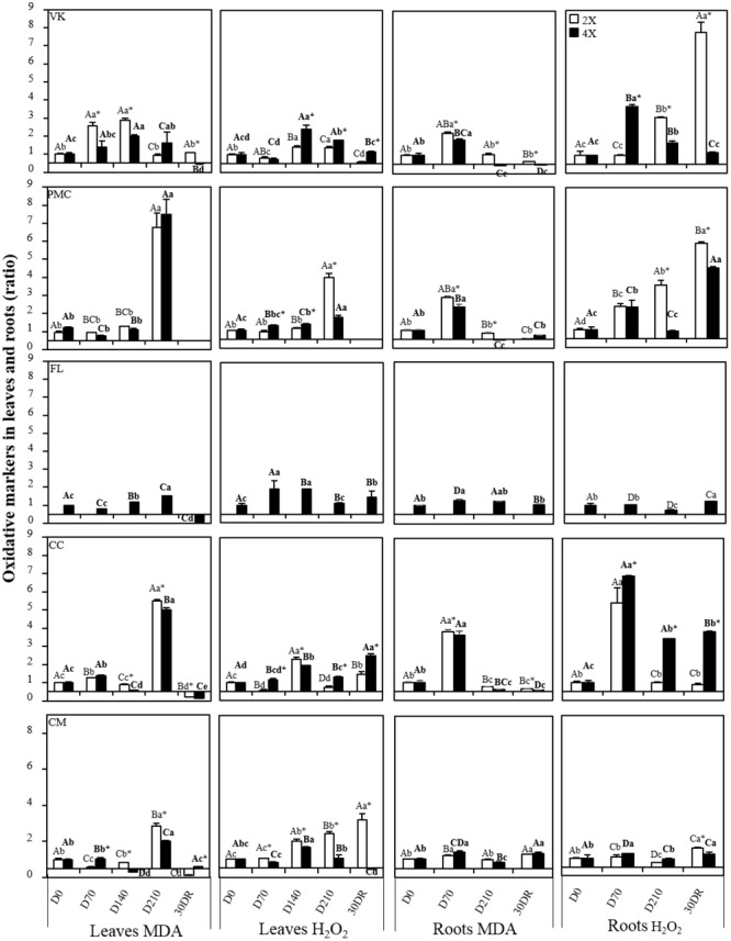 FIGURE 3