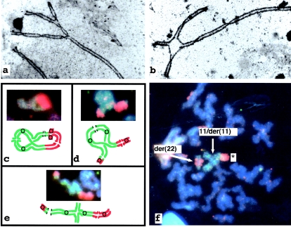 Figure  2