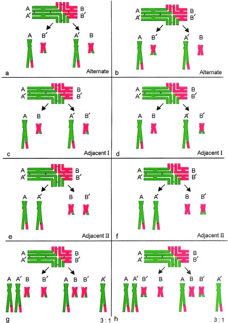 Figure  3