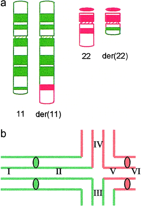 Figure  1