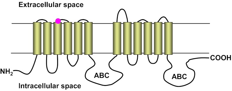 Fig. 5.