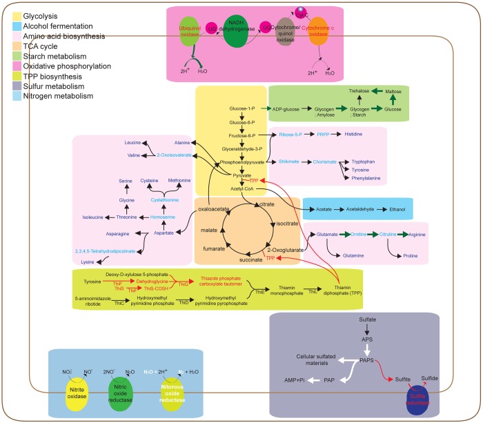 Fig 3