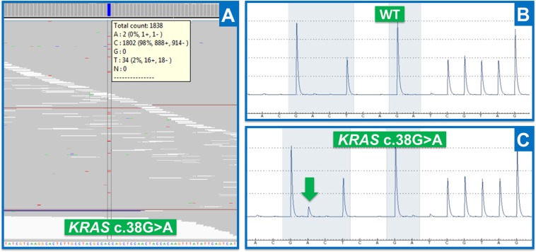 Figure 5