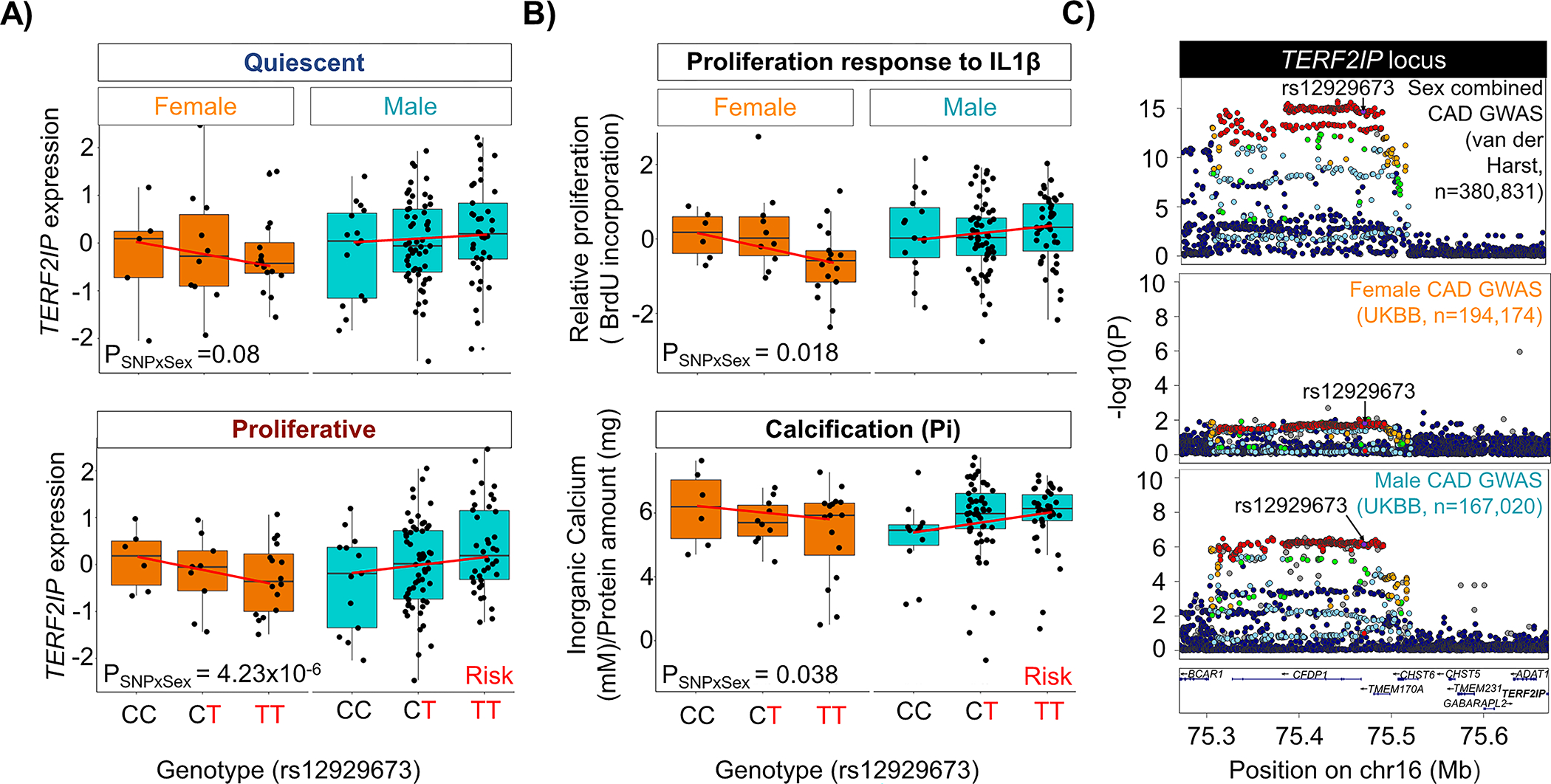 Figure 4: