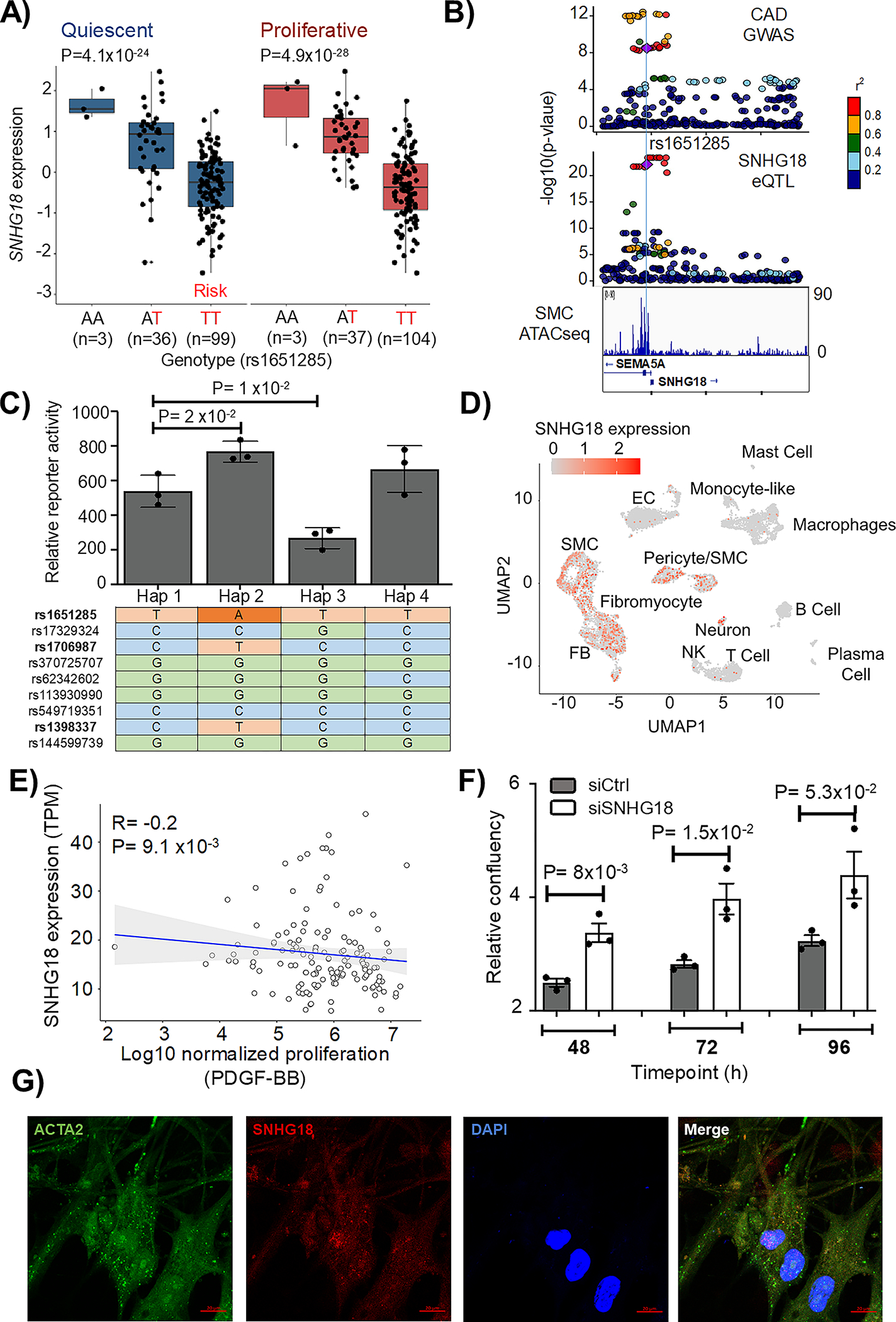 Figure 6: