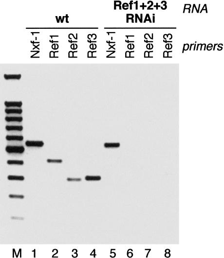 FIGURE 4.