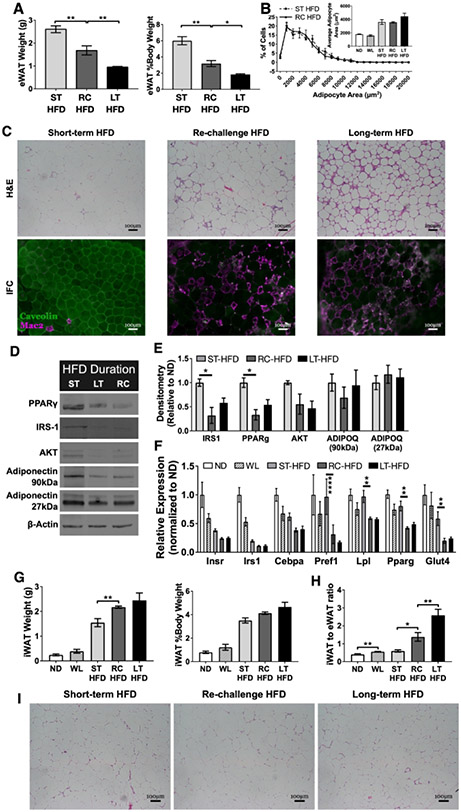 Figure 2 -