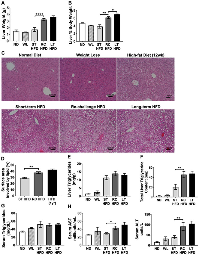 Figure 3 -