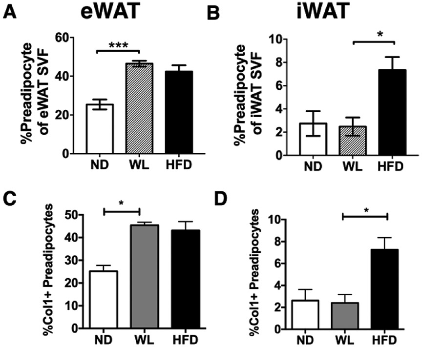 Figure 6 -