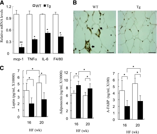 FIG. 7.