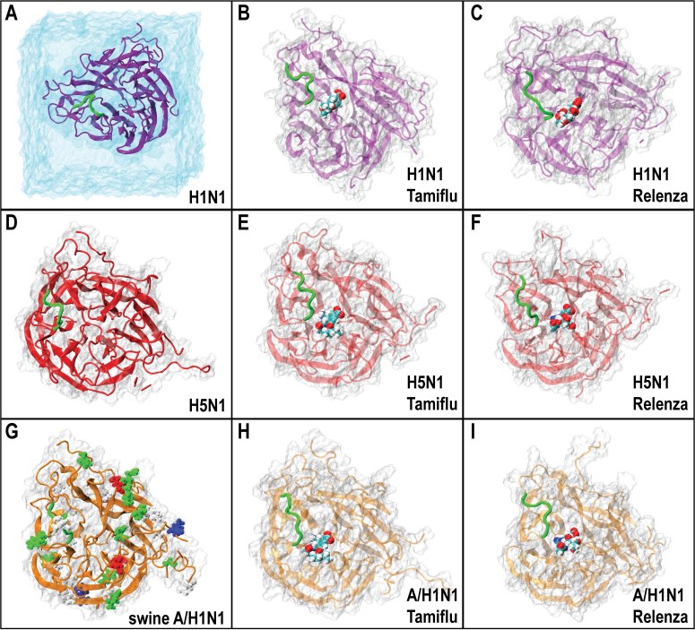 graphic file with name fig2-allflu.jpg