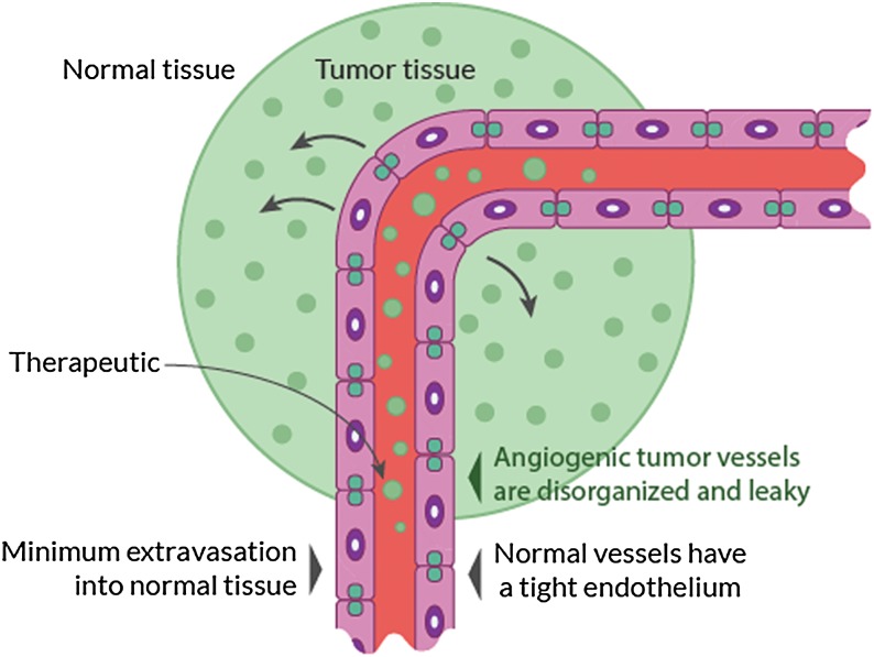 Fig. 2.