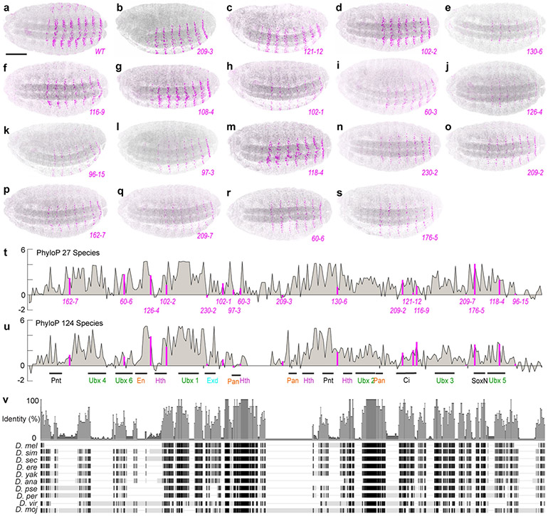 Extended Data Fig. 4 ∣