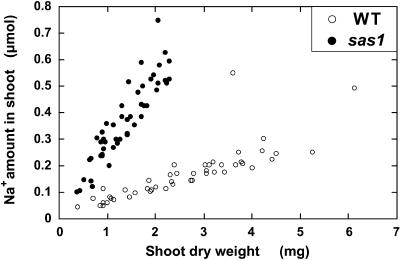 Figure 5.