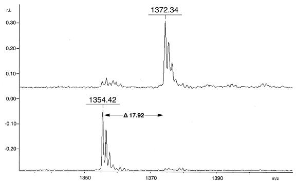 FIG. 1