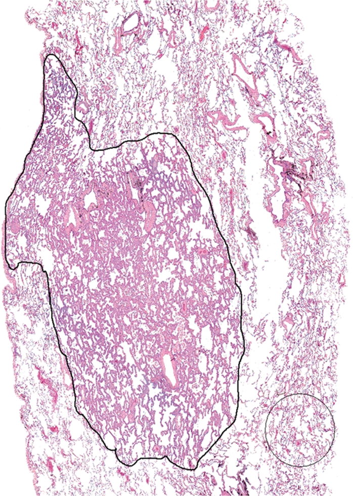 Figure 2a: