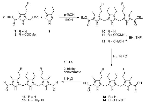 Scheme 2